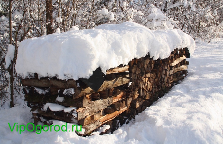 дрова зимой